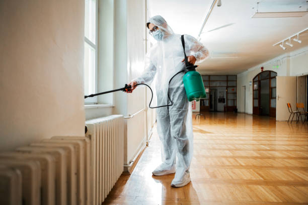 Best Real Estate Pest Inspections  in Hayfield, MN